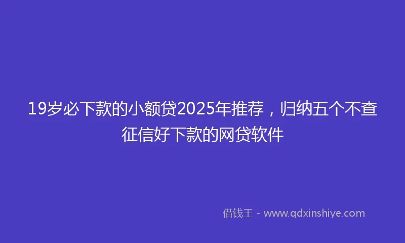 19岁必下款的小额贷2025年推荐，归纳五个不查征信好下款的网贷软件