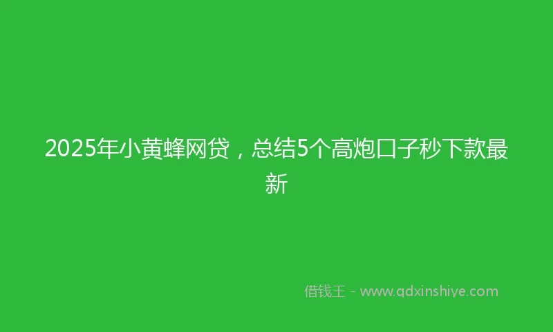 2025年小黄蜂网贷，总结5个高炮口子秒下款最新