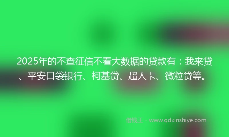2025年的不查征信不看大数据的贷款有：我来贷、平安口袋银行、柯基贷、超人卡、微粒贷等。