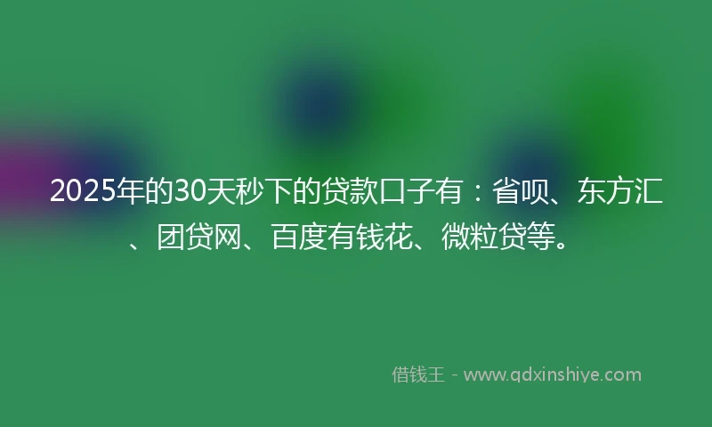 2025年的30天秒下的贷款口子有：省呗、东方汇、团贷网、百度有钱花、微粒贷等。