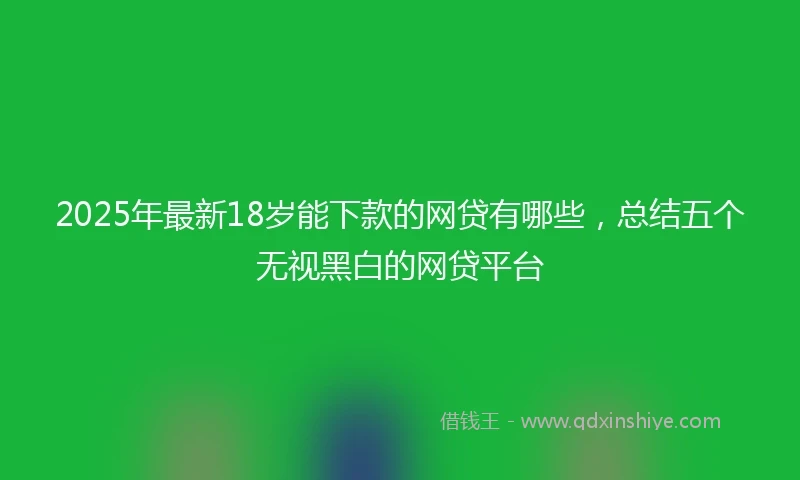 2025年最新18岁能下款的网贷有哪些，总结五个无视黑白的网贷平台