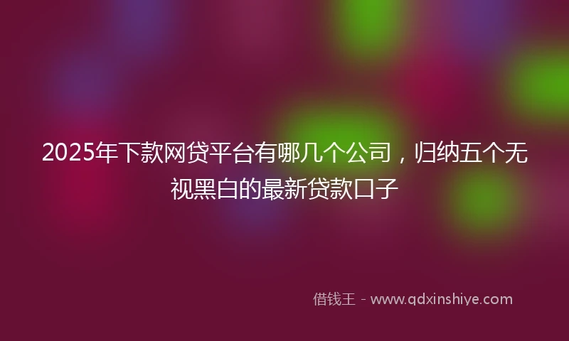 2025年下款网贷平台有哪几个公司，归纳五个无视黑白的最新贷款口子