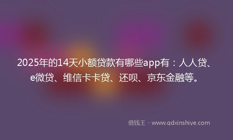 2025年的14天小额贷款有哪些app有：人人贷、e微贷、维信卡卡贷、还呗、京东金融等。