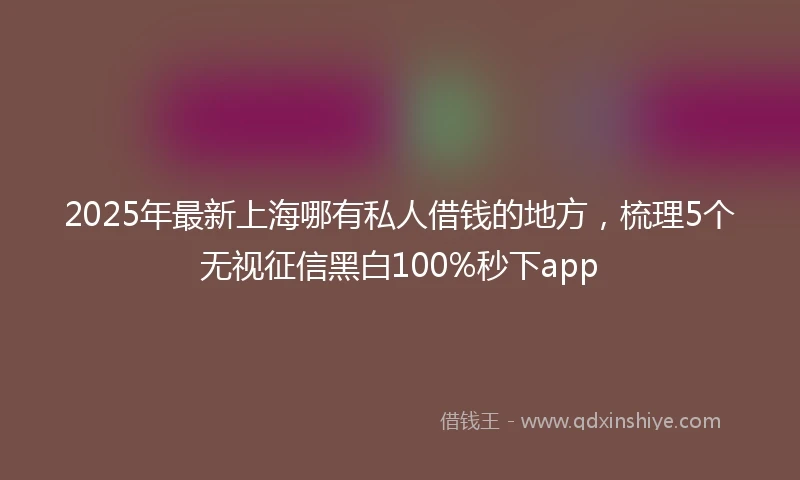2025年最新上海哪有私人借钱的地方，梳理5个无视征信黑白100%秒下app
