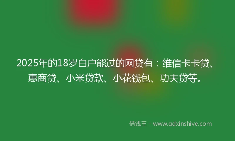 2025年的18岁白户能过的网贷有：维信卡卡贷、惠商贷、小米贷款、小花钱包、功夫贷等。