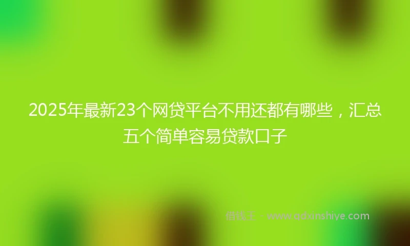2025年最新23个网贷平台不用还都有哪些，汇总五个简单容易贷款口子
