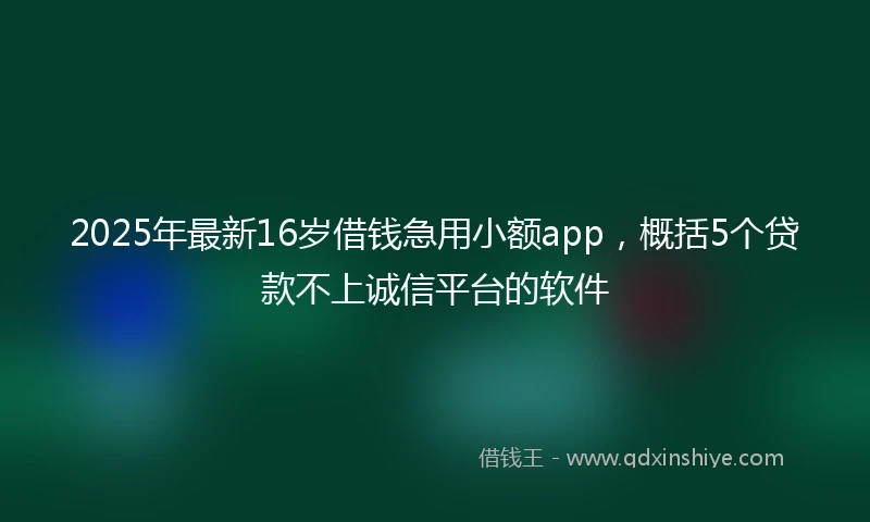 2025年最新16岁借钱急用小额app，概括5个贷款不上诚信平台的软件