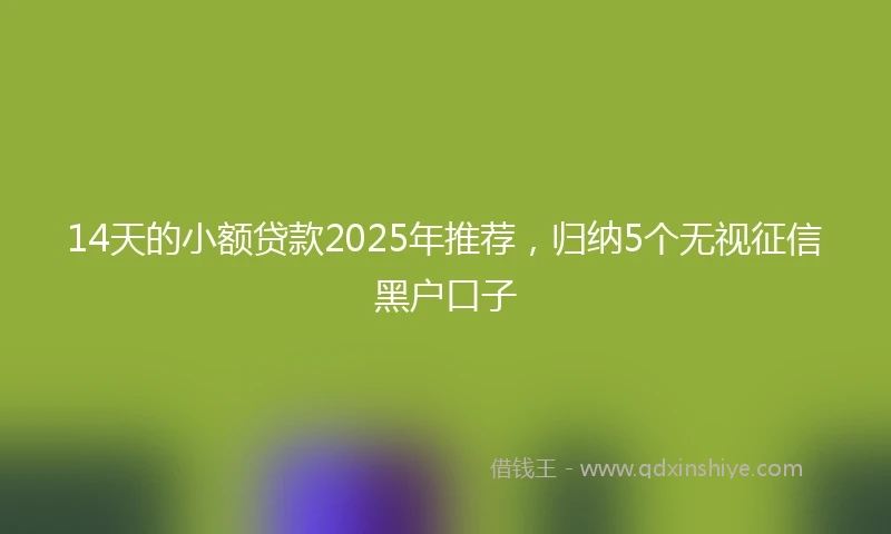 14天的小额贷款2025年推荐，归纳5个无视征信黑户口子
