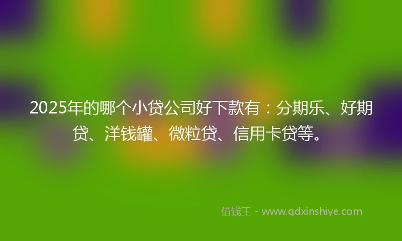 2025年的哪个小贷公司好下款有：分期乐、好期贷、洋钱罐、微粒贷、信用卡贷等。