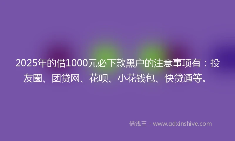 2025年的借1000元必下款黑户的注意事项有：投友圈、团贷网、花呗、小花钱包、快贷通等。