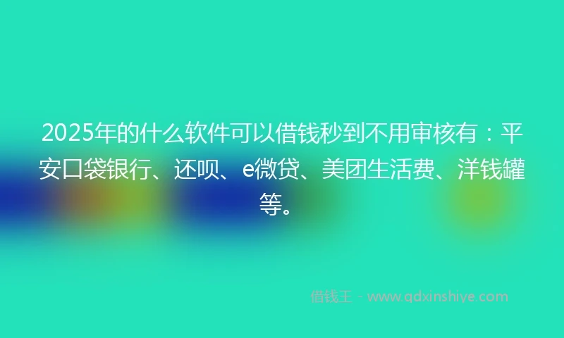2025年的什么软件可以借钱秒到不用审核有：平安口袋银行、还呗、e微贷、美团生活费、洋钱罐等。