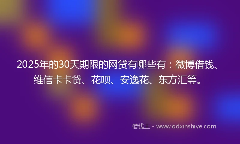 2025年的30天期限的网贷有哪些有：微博借钱、维信卡卡贷、花呗、安逸花、东方汇等。
