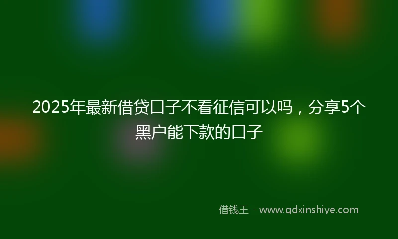2025年最新借贷口子不看征信可以吗，分享5个黑户能下款的口子