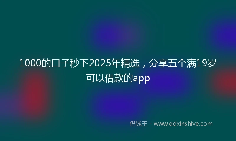 1000的口子秒下2025年精选，分享五个满19岁可以借款的app