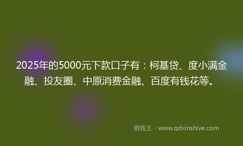 2025年的5000元下款口子有：柯基贷、度小满金融、投友圈、中原消费金融、百度有钱花等。