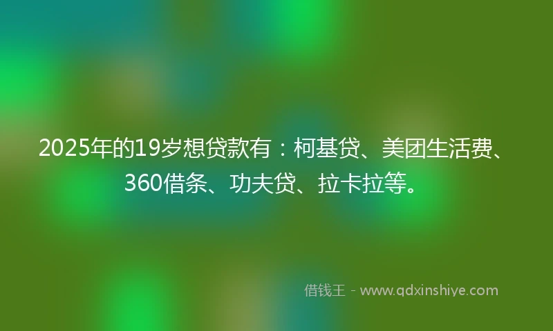 2025年的19岁想贷款有：柯基贷、美团生活费、360借条、功夫贷、拉卡拉等。