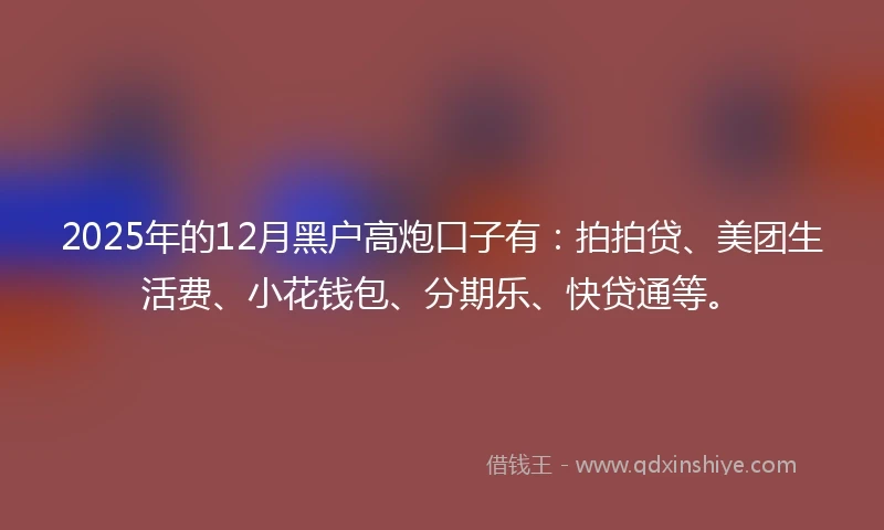2025年的12月黑户高炮口子有：拍拍贷、美团生活费、小花钱包、分期乐、快贷通等。