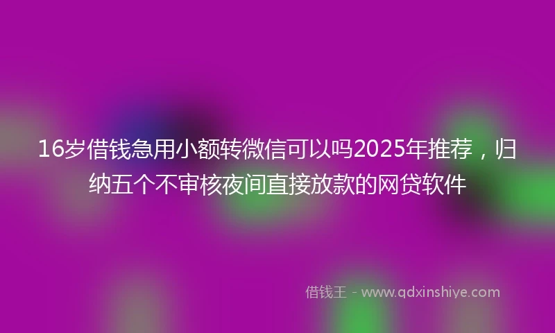 16岁借钱急用小额转微信可以吗2025年推荐，归纳五个不审核夜间直接放款的网贷软件