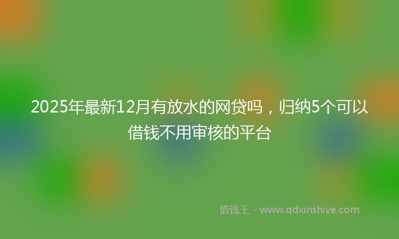 2025年最新12月有放水的网贷吗，归纳5个可以借钱不用审核的平台