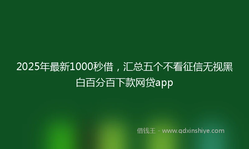 2025年最新1000秒借，汇总五个不看征信无视黑白百分百下款网贷app