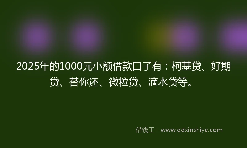 2025年的1000元小额借款口子有：柯基贷、好期贷、替你还、微粒贷、滴水贷等。