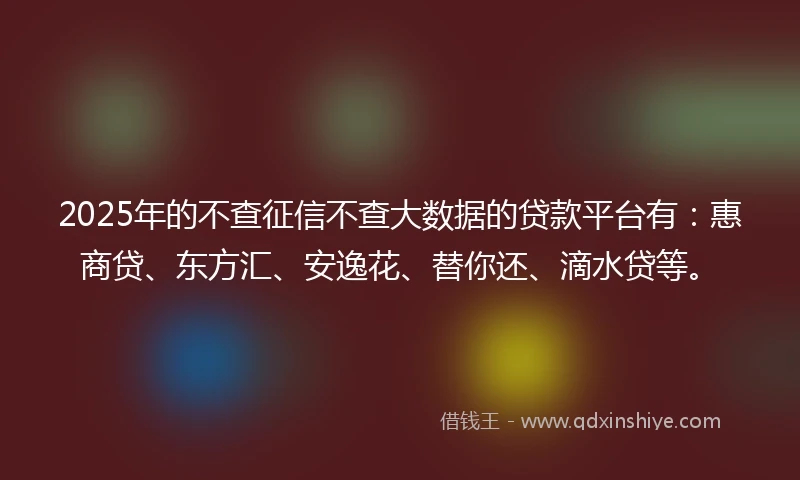2025年的不查征信不查大数据的贷款平台有：惠商贷、东方汇、安逸花、替你还、滴水贷等。