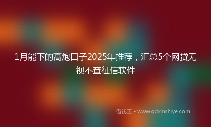 1月能下的高炮口子2025年推荐，汇总5个网贷无视不查征信软件