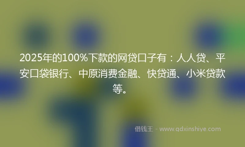 2025年的100%下款的网贷口子有：人人贷、平安口袋银行、中原消费金融、快贷通、小米贷款等。