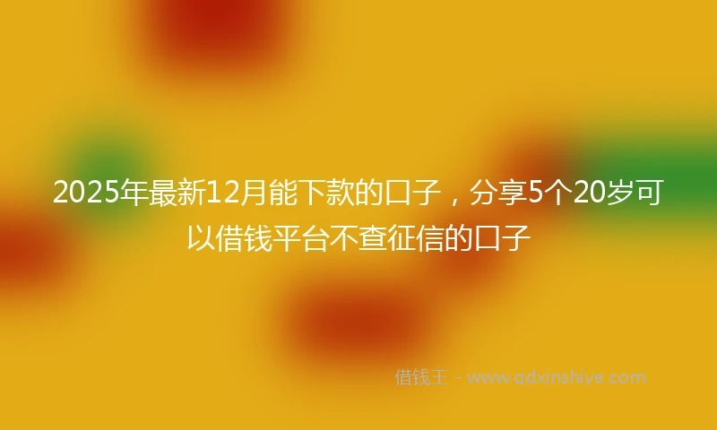 2025年最新12月能下款的口子，分享5个20岁可以借钱平台不查征信的口子