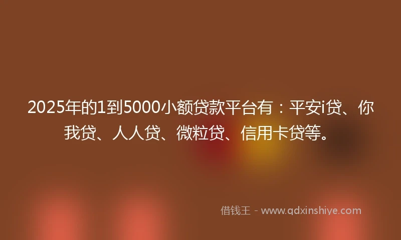 2025年的1到5000小额贷款平台有：平安i贷、你我贷、人人贷、微粒贷、信用卡贷等。