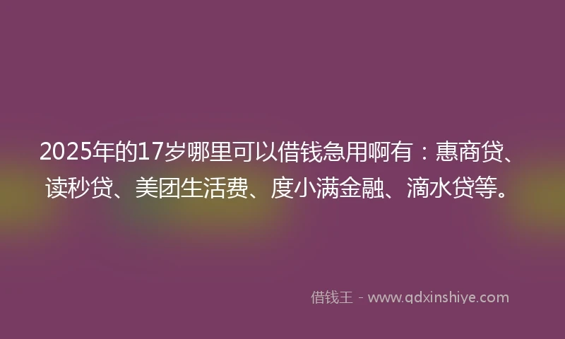 2025年的17岁哪里可以借钱急用啊有：惠商贷、读秒贷、美团生活费、度小满金融、滴水贷等。