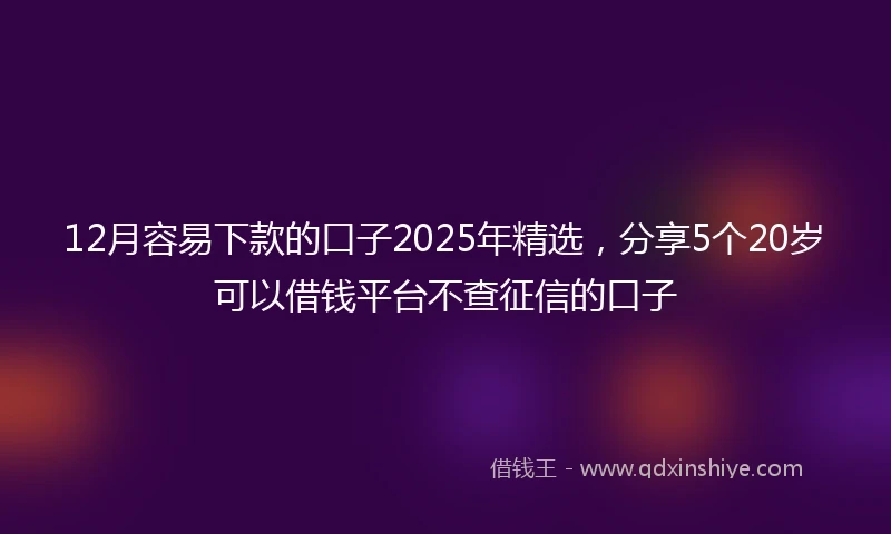 12月容易下款的口子2025年精选，分享5个20岁可以借钱平台不查征信的口子