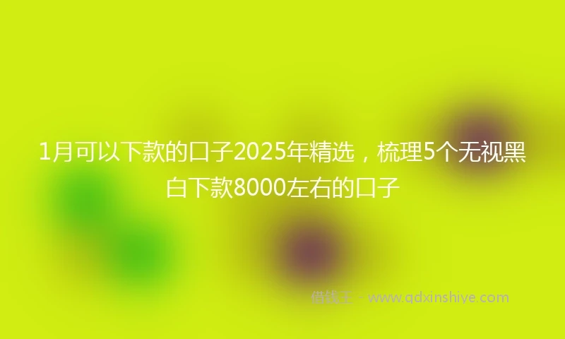1月可以下款的口子2025年精选，梳理5个无视黑白下款8000左右的口子