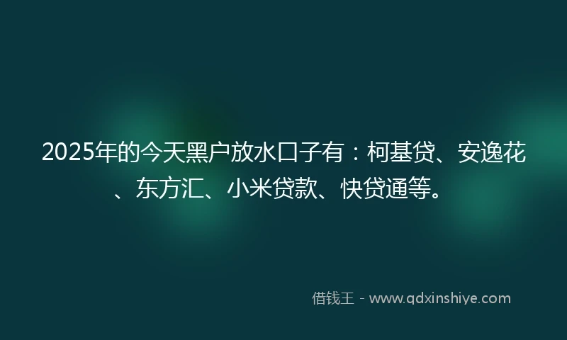 2025年的今天黑户放水口子有：柯基贷、安逸花、东方汇、小米贷款、快贷通等。