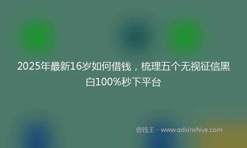 2025年最新16岁如何借钱，梳理五个无视征信黑白100%秒下平台