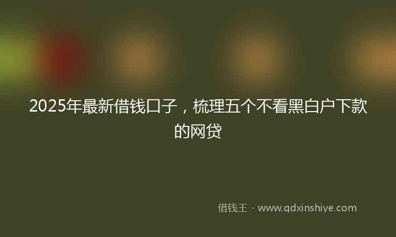 2025年最新借钱口子，梳理五个不看黑白户下款的网贷