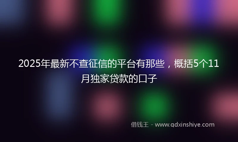 2025年最新不查征信的平台有那些，概括5个11月独家贷款的口子