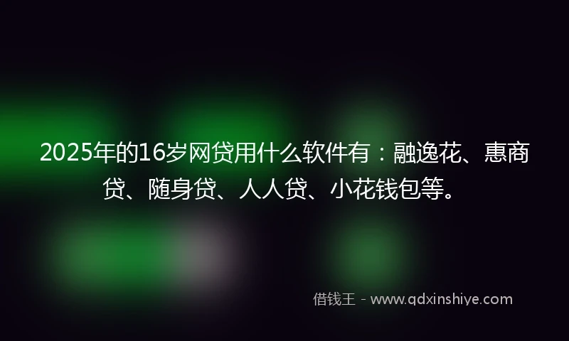 2025年的16岁网贷用什么软件有：融逸花、惠商贷、随身贷、人人贷、小花钱包等。