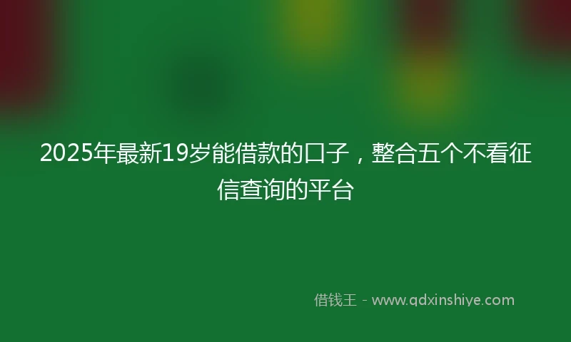2025年最新19岁能借款的口子，整合五个不看征信查询的平台