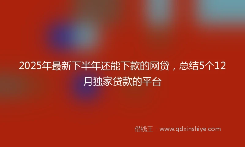 2025年最新下半年还能下款的网贷，总结5个12月独家贷款的平台