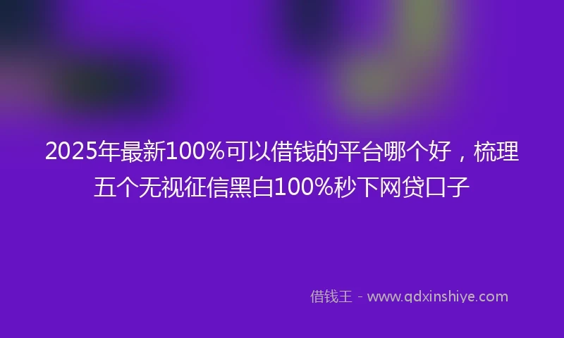 2025年最新100%可以借钱的平台哪个好，梳理五个无视征信黑白100%秒下网贷口子