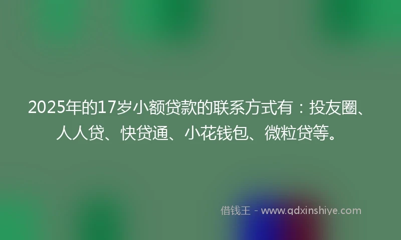 2025年的17岁小额贷款的联系方式有：投友圈、人人贷、快贷通、小花钱包、微粒贷等。