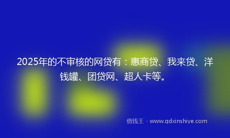 2025年的不审核的网贷有：惠商贷、我来贷、洋钱罐、团贷网、超人卡等。