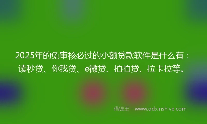 2025年的免审核必过的小额贷款软件是什么有：读秒贷、你我贷、e微贷、拍拍贷、拉卡拉等。