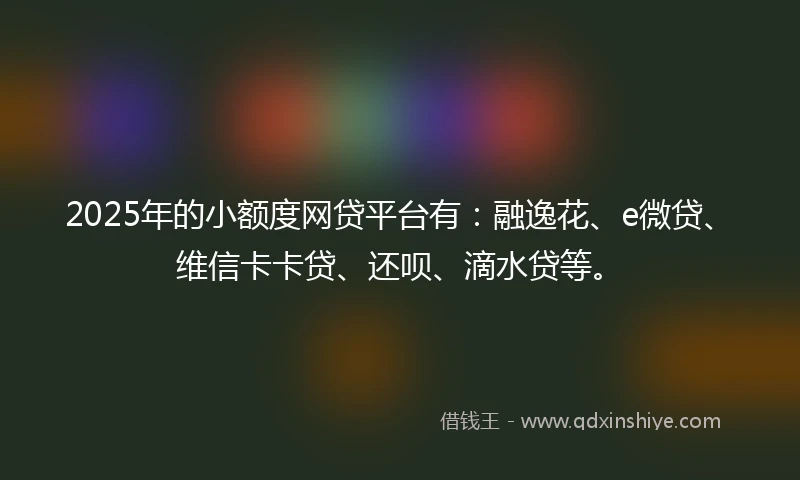 2025年的小额度网贷平台有：融逸花、e微贷、维信卡卡贷、还呗、滴水贷等。