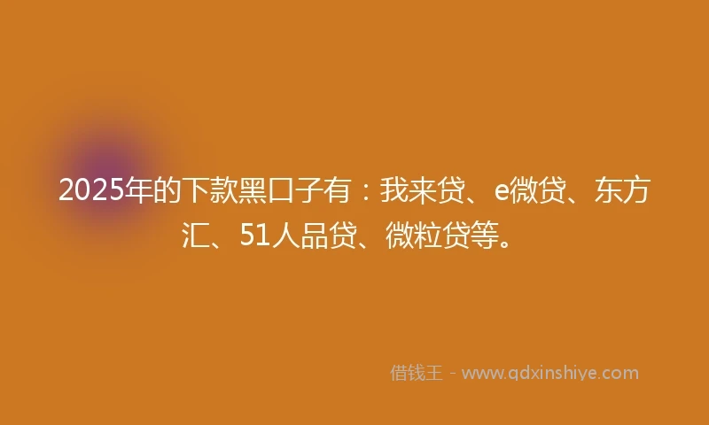 2025年的下款黑口子有：我来贷、e微贷、东方汇、51人品贷、微粒贷等。