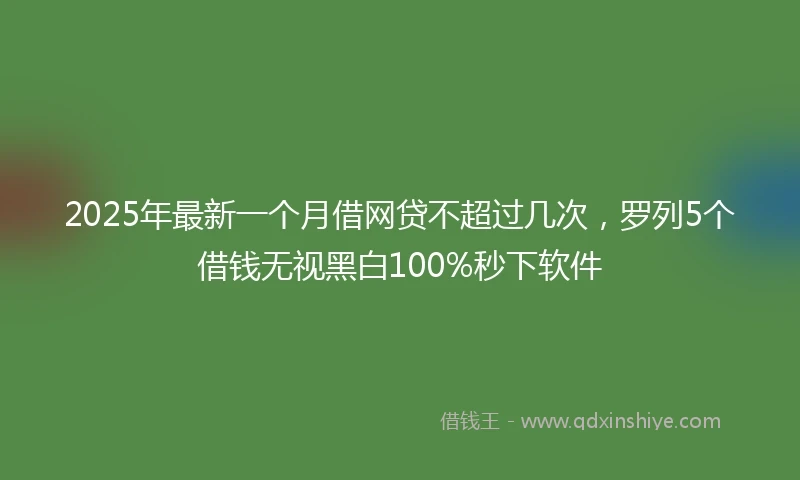 2025年最新一个月借网贷不超过几次，罗列5个借钱无视黑白100%秒下软件