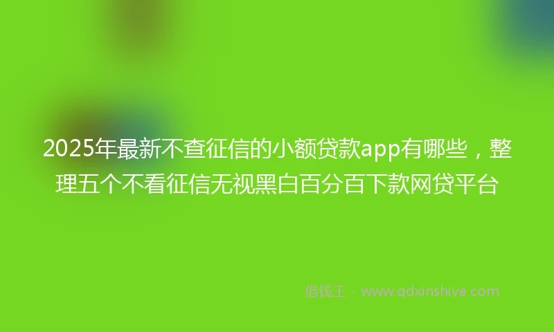 2025年最新不查征信的小额贷款app有哪些，整理五个不看征信无视黑白百分百下款网贷平台