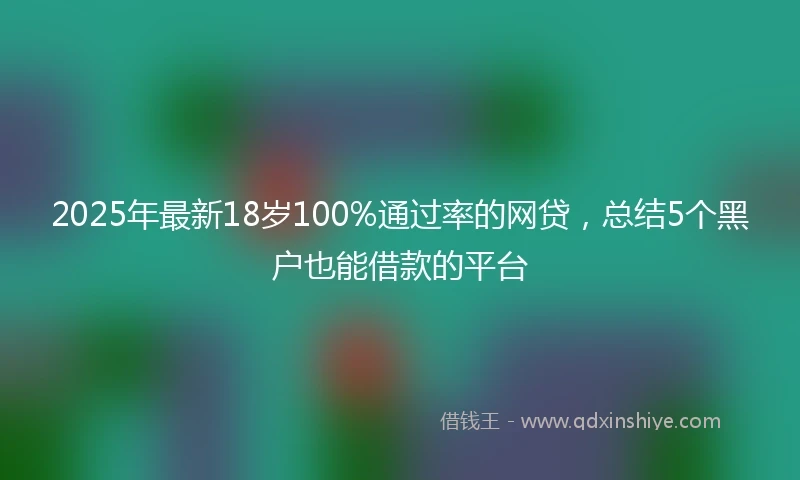 2025年最新18岁100%通过率的网贷，总结5个黑户也能借款的平台
