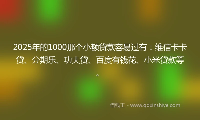 2025年的1000那个小额贷款容易过有：维信卡卡贷、分期乐、功夫贷、百度有钱花、小米贷款等。